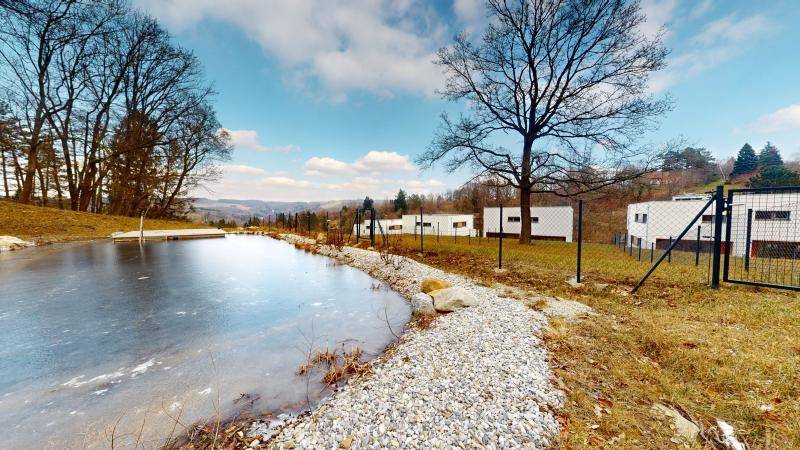 Natürlicher Teich in einer ländlichen Umgebung mit modernen Häusern im Hintergrund.