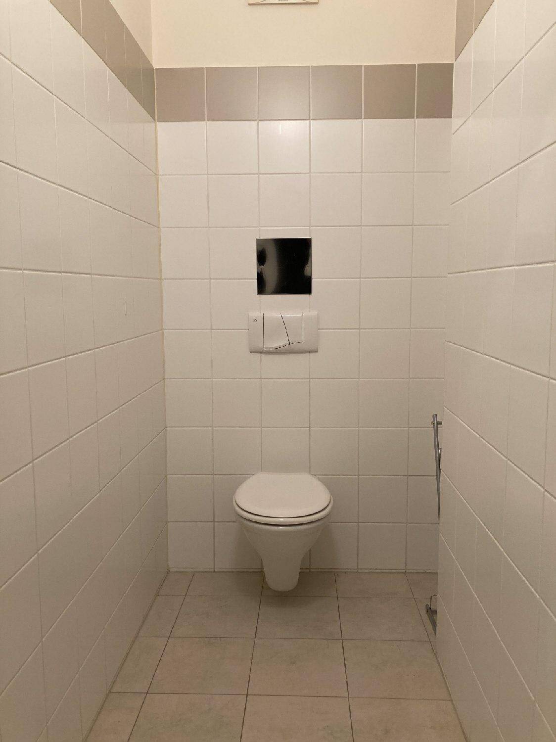 Separates WC mit Wand-WC und hellen Fliesen an Wänden und Boden.