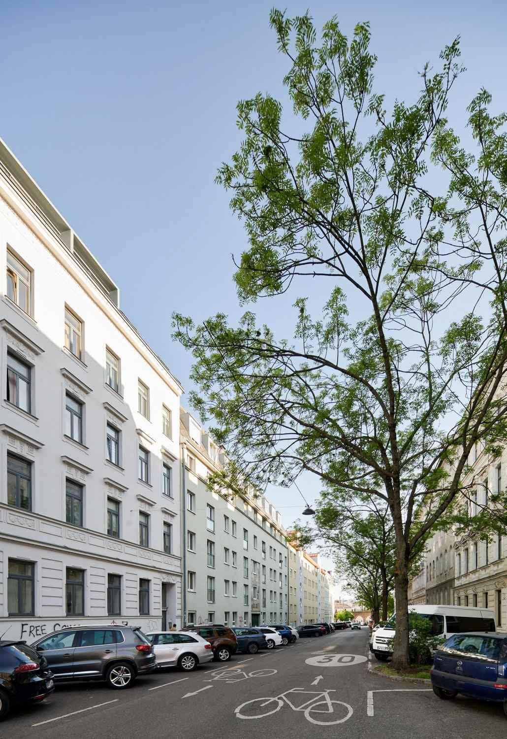 Ruhige Wohnstraße mit geparkten Autos, Bäumen und Fahrradweg, umgeben von Mehrfamilienhäusern.