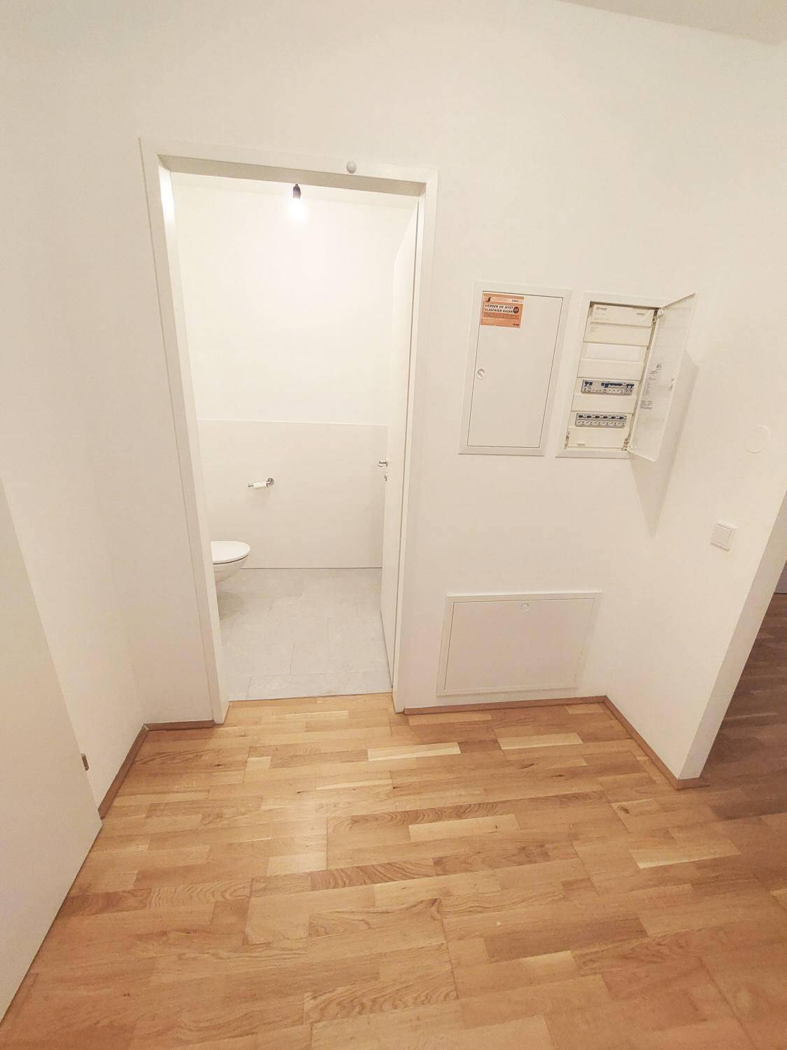 Flur mit Parkettboden und Zugang zu einem separaten WC, daneben ein Sicherungskasten.