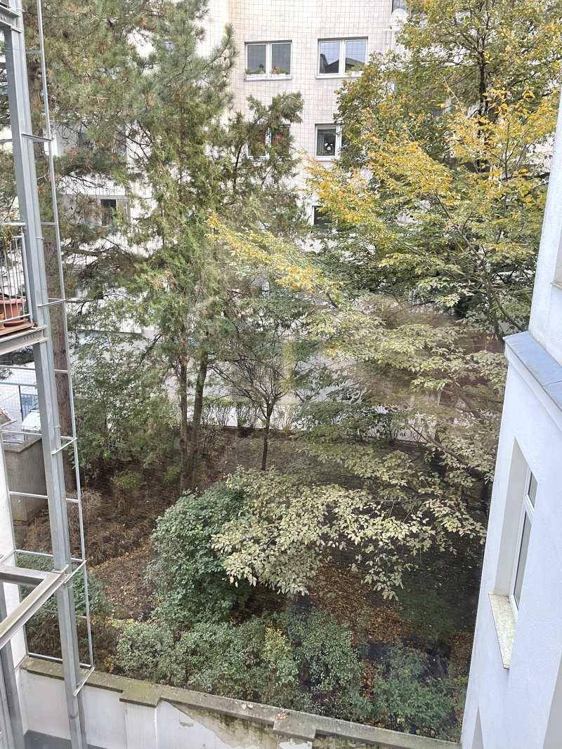 Blick aus dem Fenster auf grüne Bäume und die Fassade eines benachbarten Gebäudes.