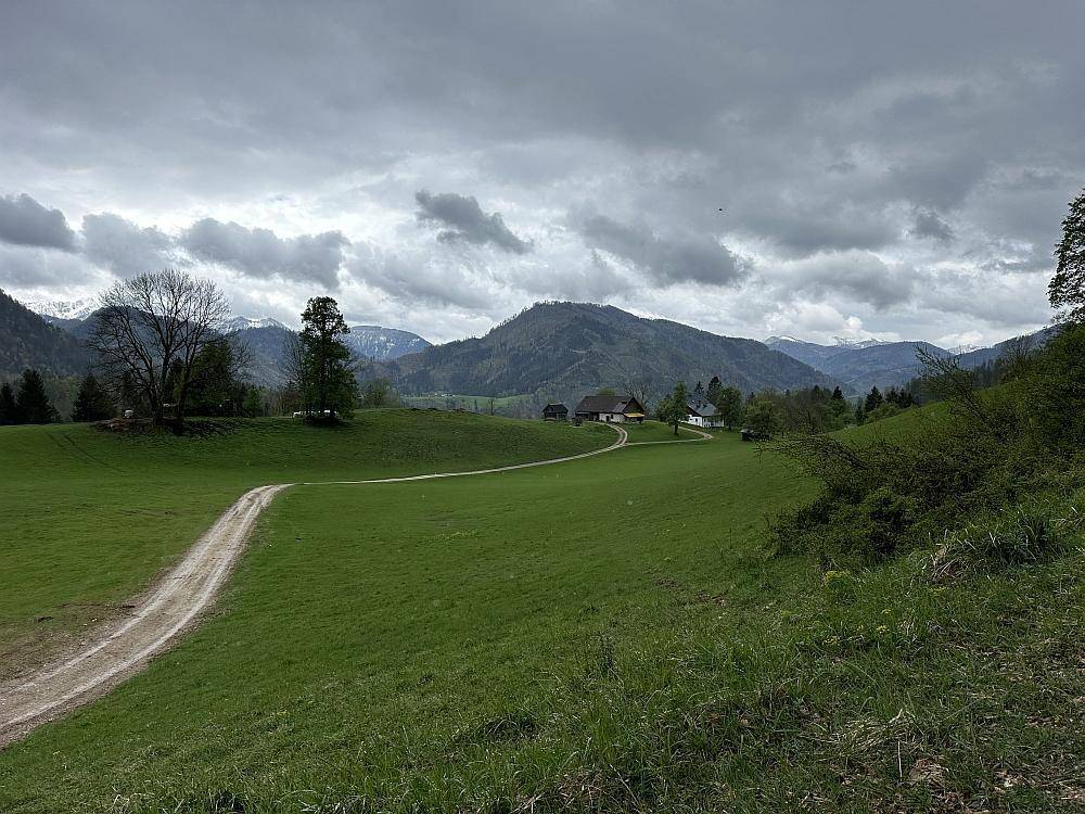 Grüne Hügellandschaft mit einem Feldweg, Häusern und Bergen unter einem bewölkten Himmel.