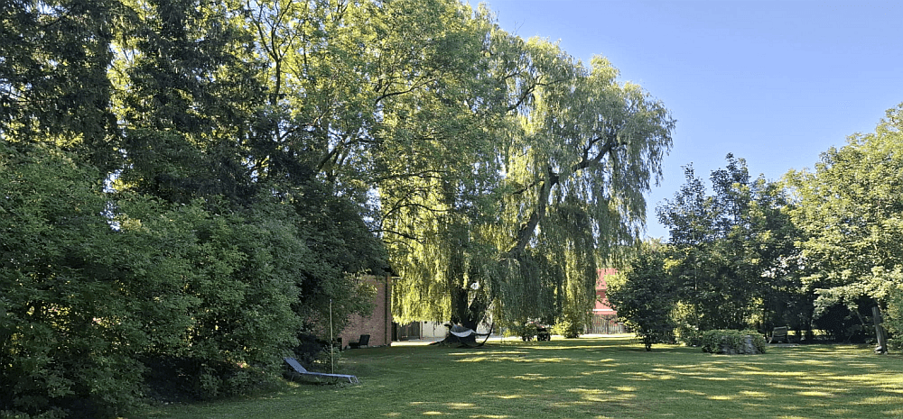 Großer, gepflegter Garten mit weitläufiger Rasenfläche, alten Bäumen und einer Hängematte zum Entspannen.