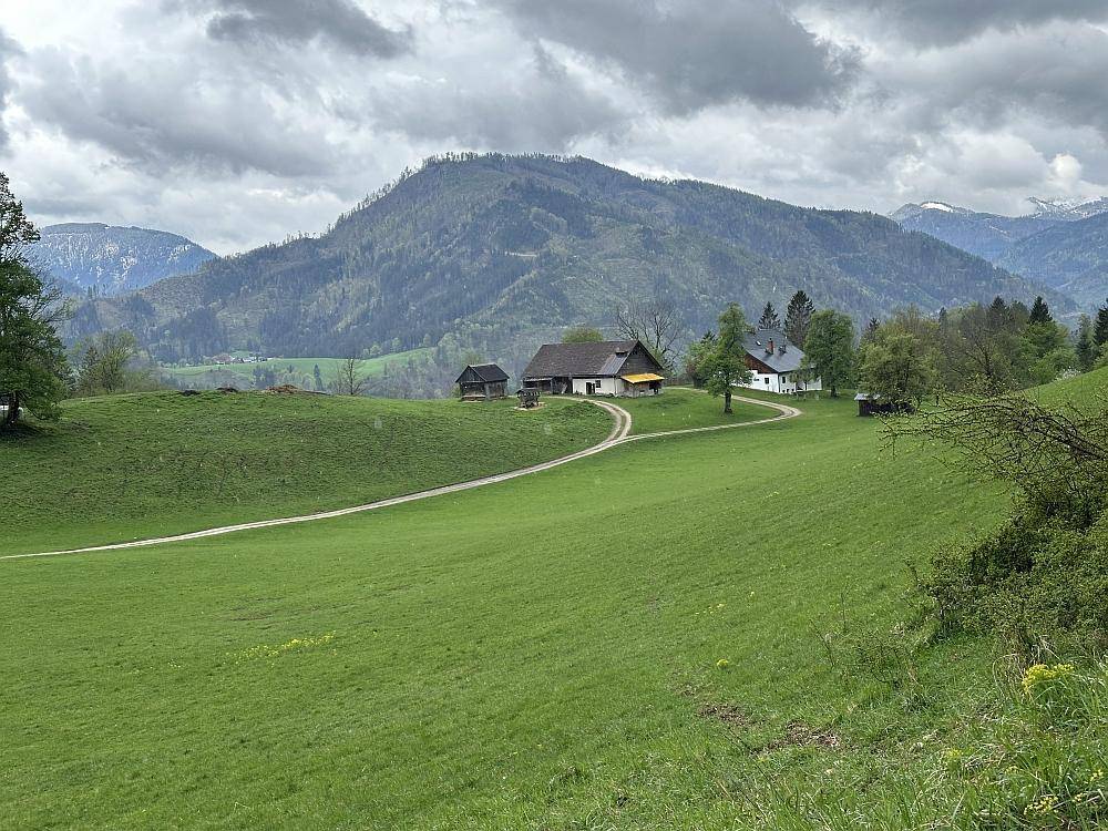 Weitläufige grüne Wiesen und Hügel mit vereinzelten Häusern und Bergen im Hintergrund.