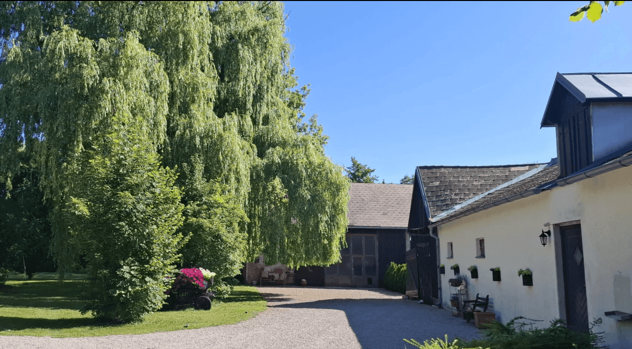 Idyllischer Kiesweg führt zu den Gebäuden, umgeben von üppigem Grün und einem großen Weidenbaum.