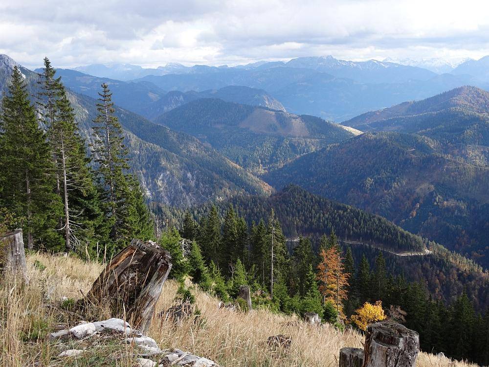 Weitläufige Berglandschaft mit bewaldeten Hängen und einem Tal unter bewölktem Himmel.