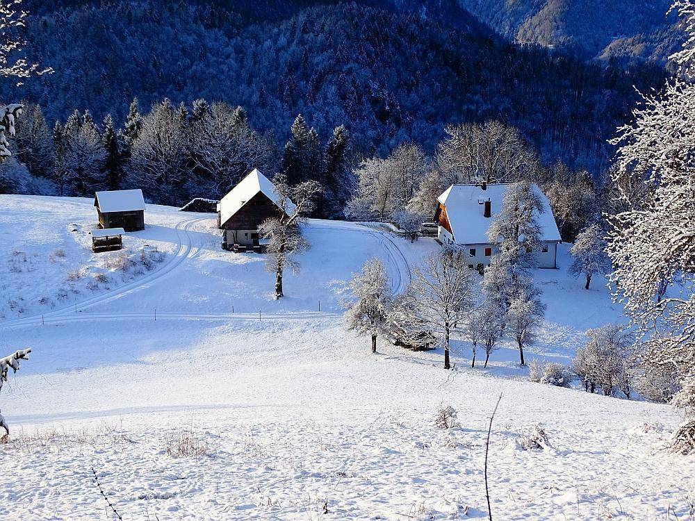 Mehrere Häuser in einer idyllischen, tief verschneiten Winterlandschaft mit vielen Bäumen.