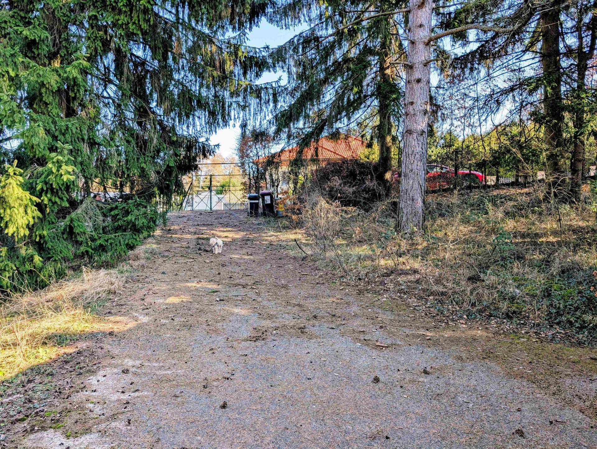 Baugrund in Waldrandlage nur ca.15 km westlich von Wien - Ansicht 2