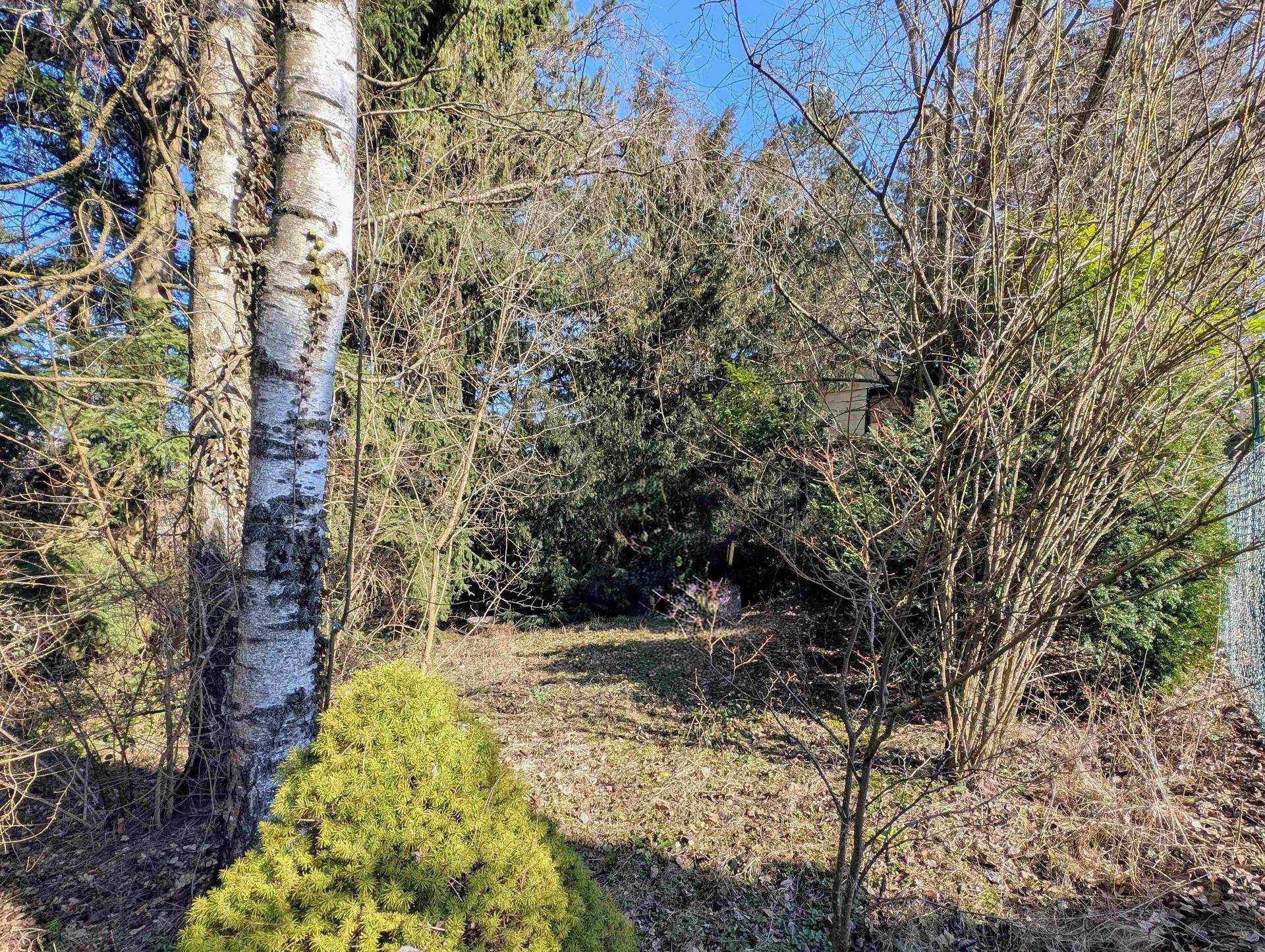 Baugrund in Waldrandlage nur ca.15 km westlich von Wien - Ansicht 3