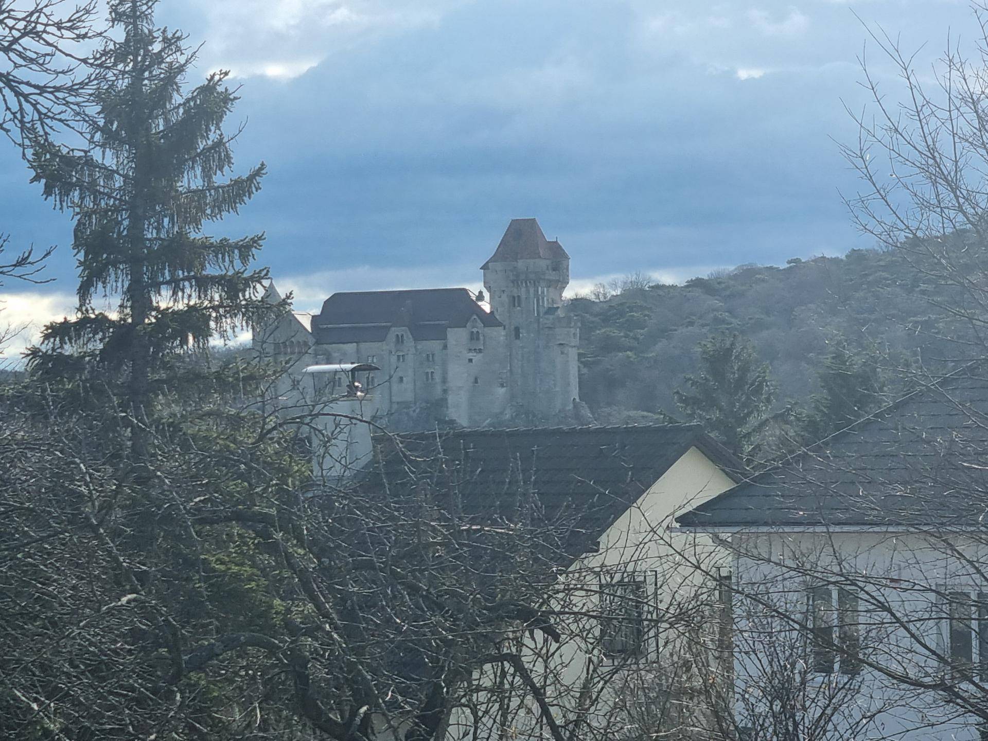 Blick auf ein historisches Schloss auf einem bewaldeten Hügel, teilweise verdeckt von Bäumen und einem Vorderhaus.