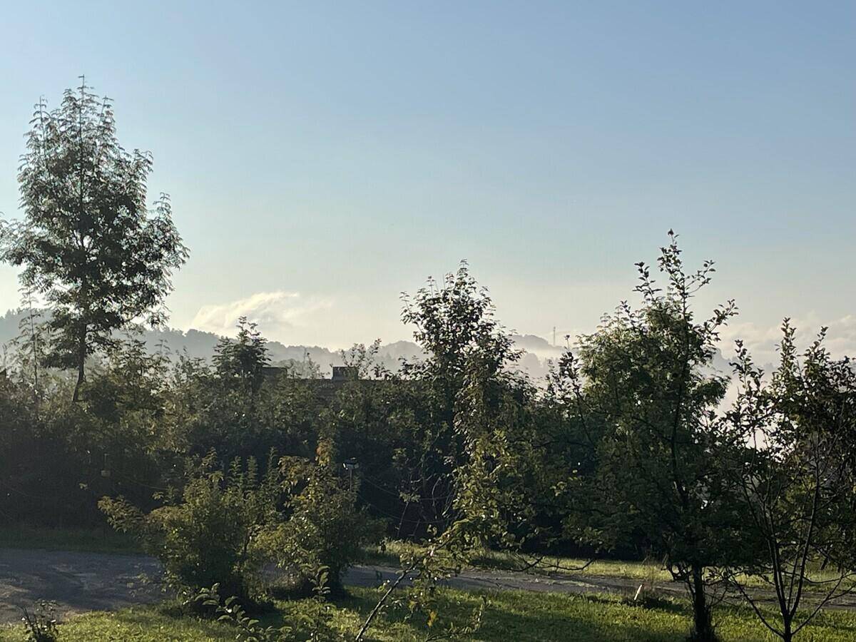 Panoramablick über grüne Hügel und Bäume mit nebligen Bergen im Hintergrund.