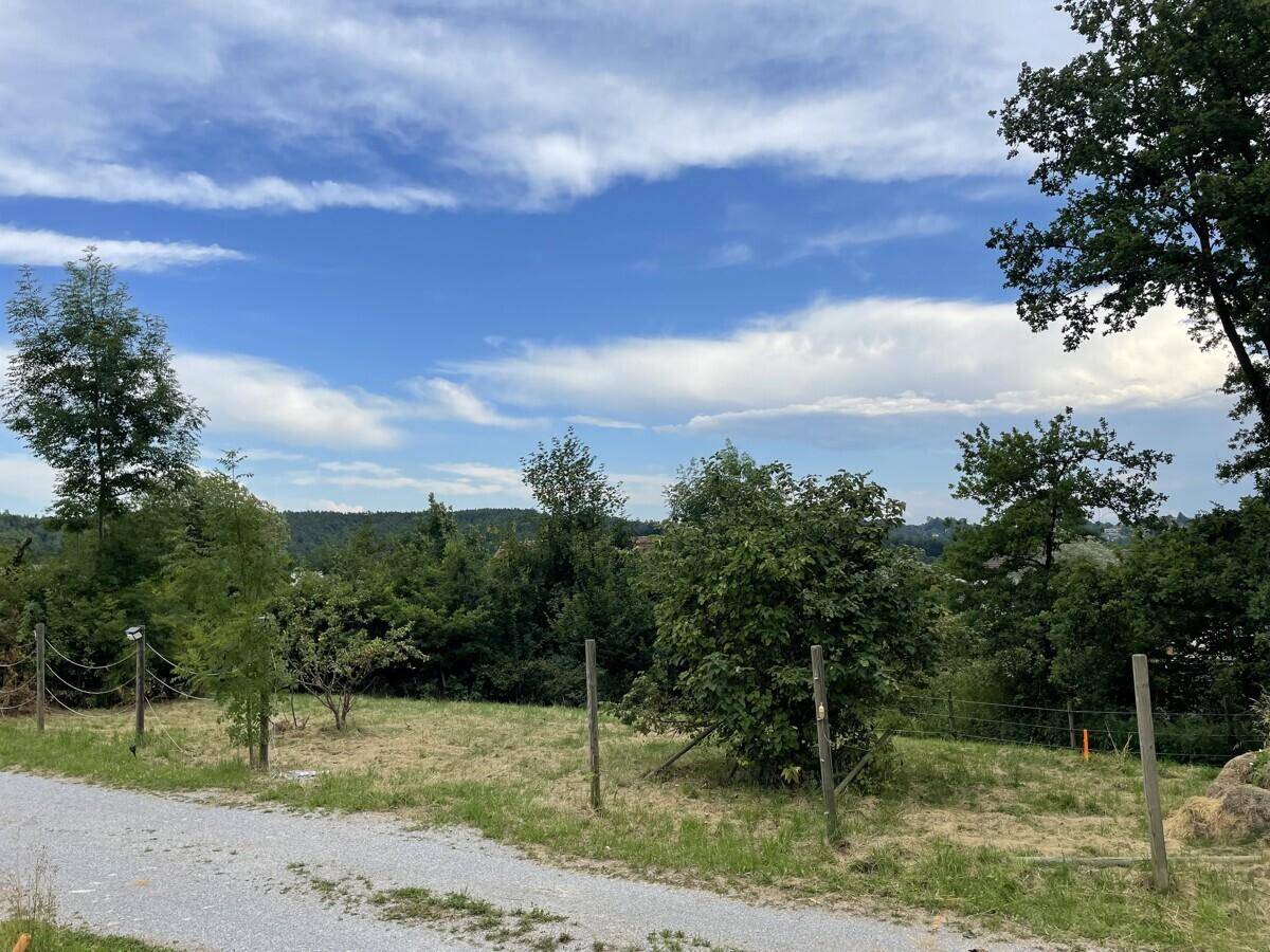 Offenes Grundstück mit Schotterweg, umgeben von Bäumen und Sträuchern unter blauem Himmel.