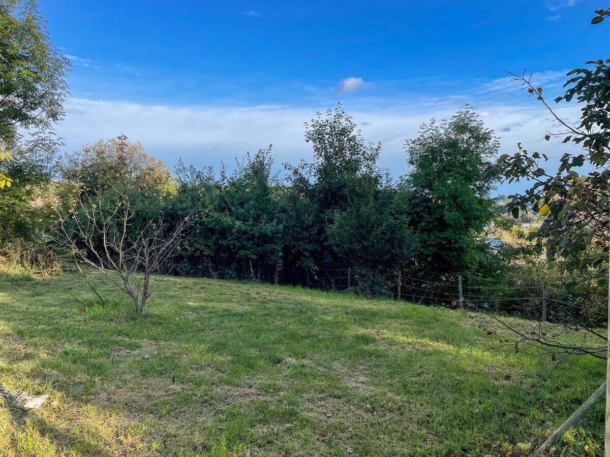 Weitläufige Rasenfläche mit Bäumen und Sträuchern, umgeben von Natur.