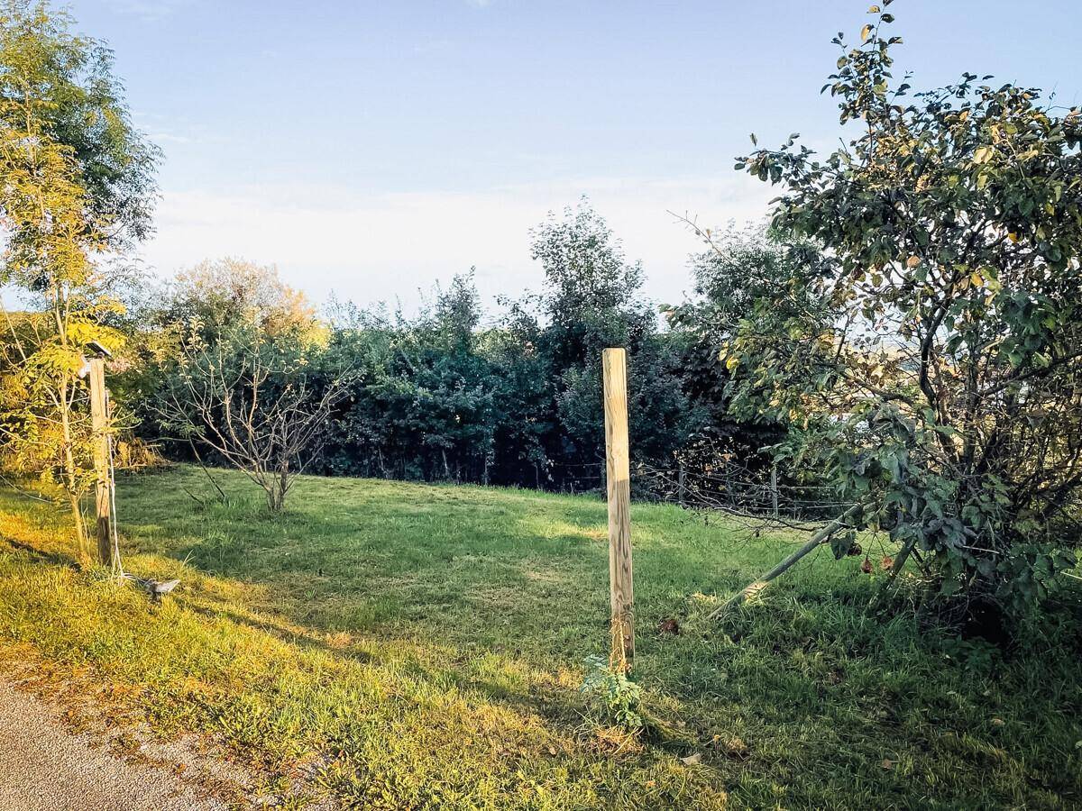 Traumgrundstück für ein Einfamiliehaus auf der Ries - Ansicht 4