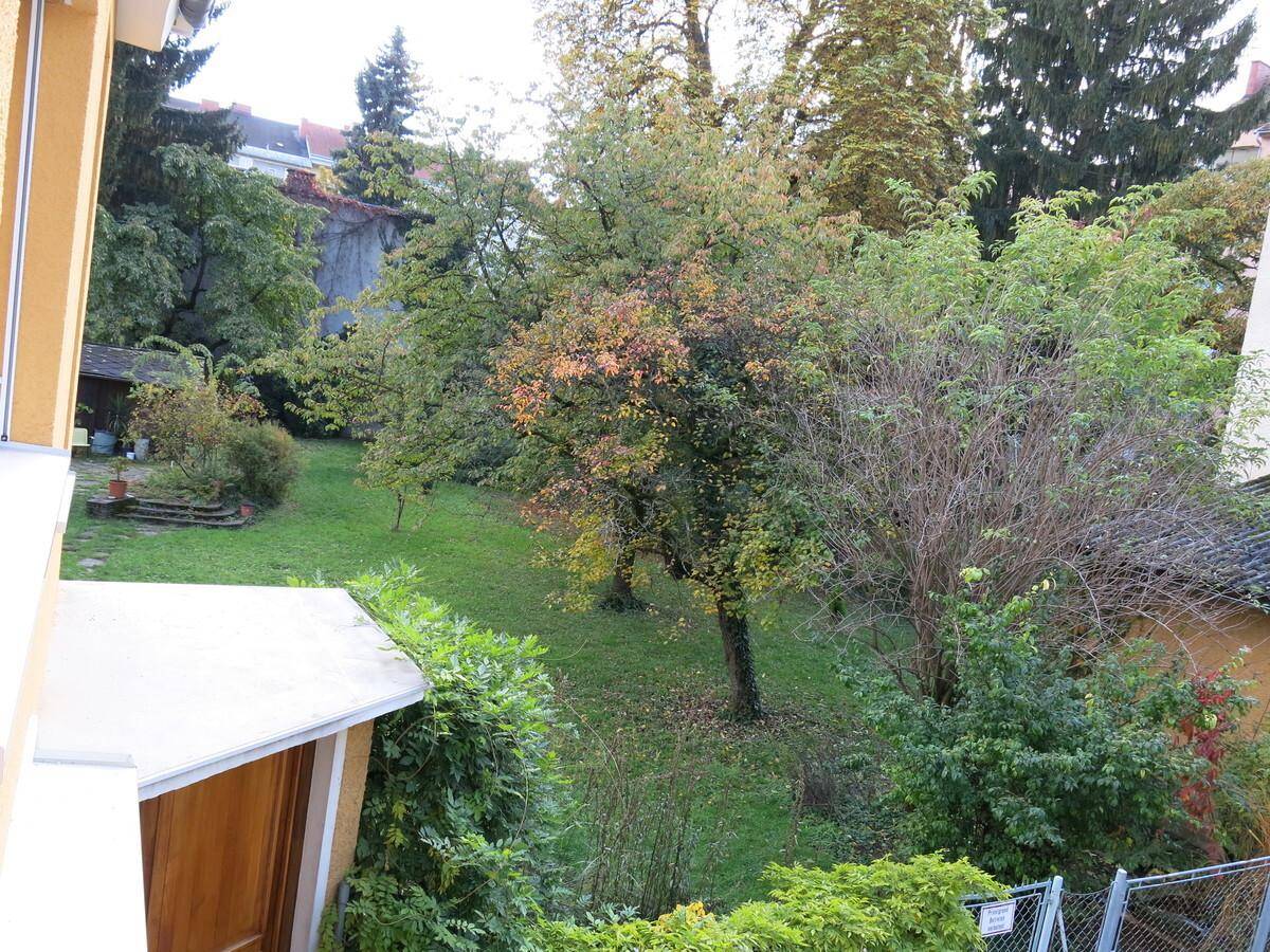 Blick in den Garten