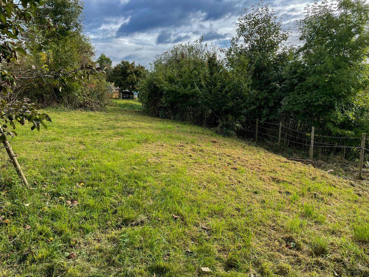 Weitläufige Grünfläche mit frischem Rasen und umgebenden Bäumen unter bewölktem Himmel.