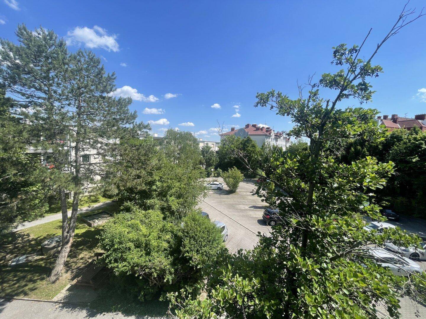 Weitläufiger Blick über grüne Bäume und einen Parkplatz auf umliegende Gebäude unter blauem Himmel.
