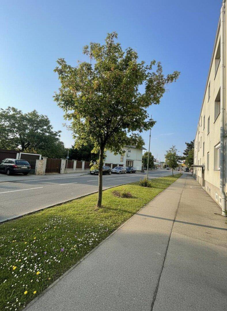 Gehweg entlang einer Straße mit Grünstreifen, Bäumen und einem Wohngebäude im Hintergrund.