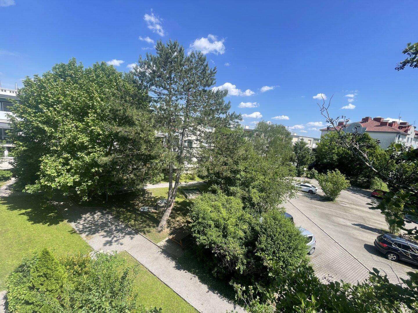 Weitläufiger Blick über grüne Bäume und einen Parkplatz auf umliegende Gebäude unter blauem Himmel.