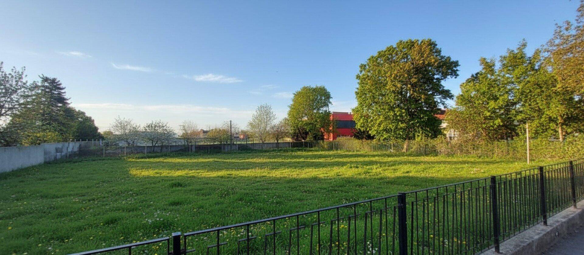Weitläufige, unbebaute Grünfläche mit hohem Gras und Bäumen am Horizont unter blauem Himmel.