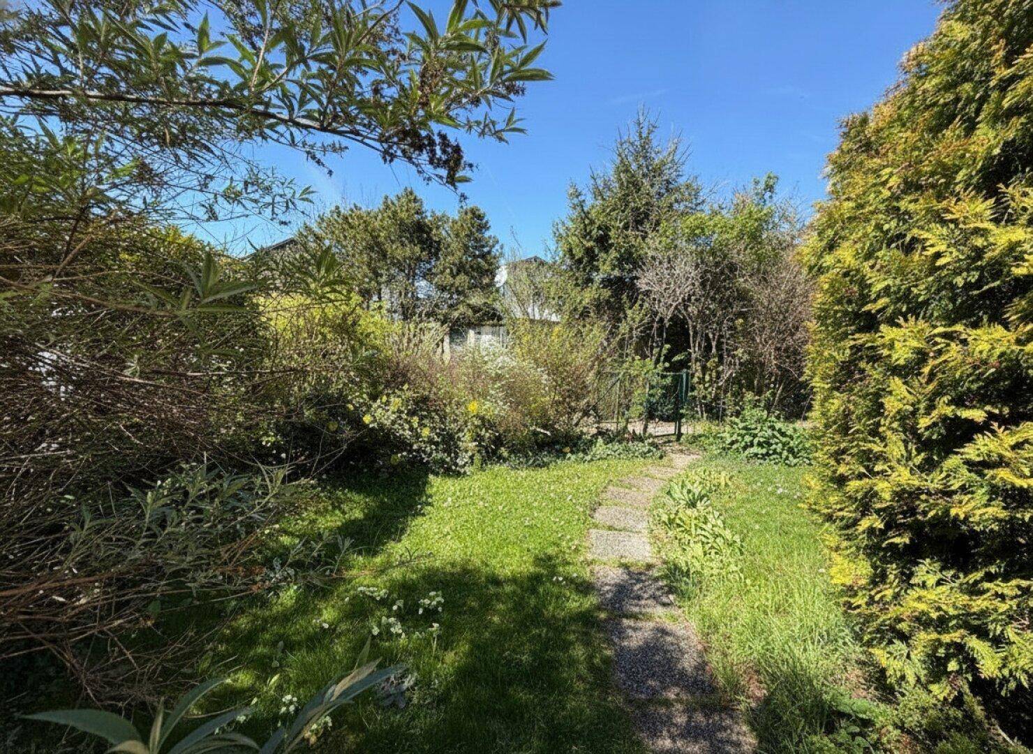 Steinpfad führt durch einen üppigen, grünen Garten mit verschiedenen Pflanzen und Bäumen.