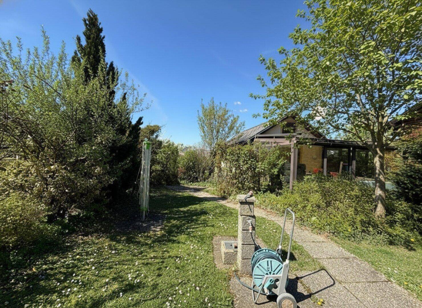 Gartenweg führt zu einem Haus, umgeben von grünen Pflanzen und einem blühenden Rasen.