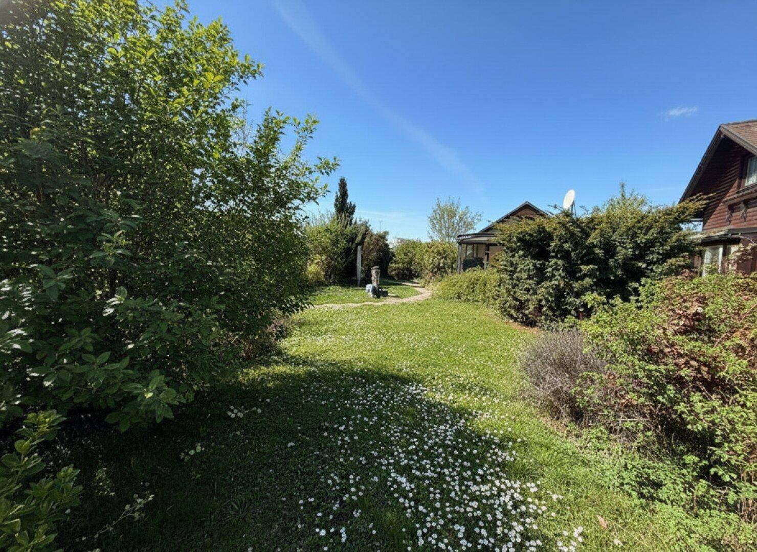 Weitläufiger Gartenbereich mit blühenden Gänseblümchen und Blick auf das Haus.