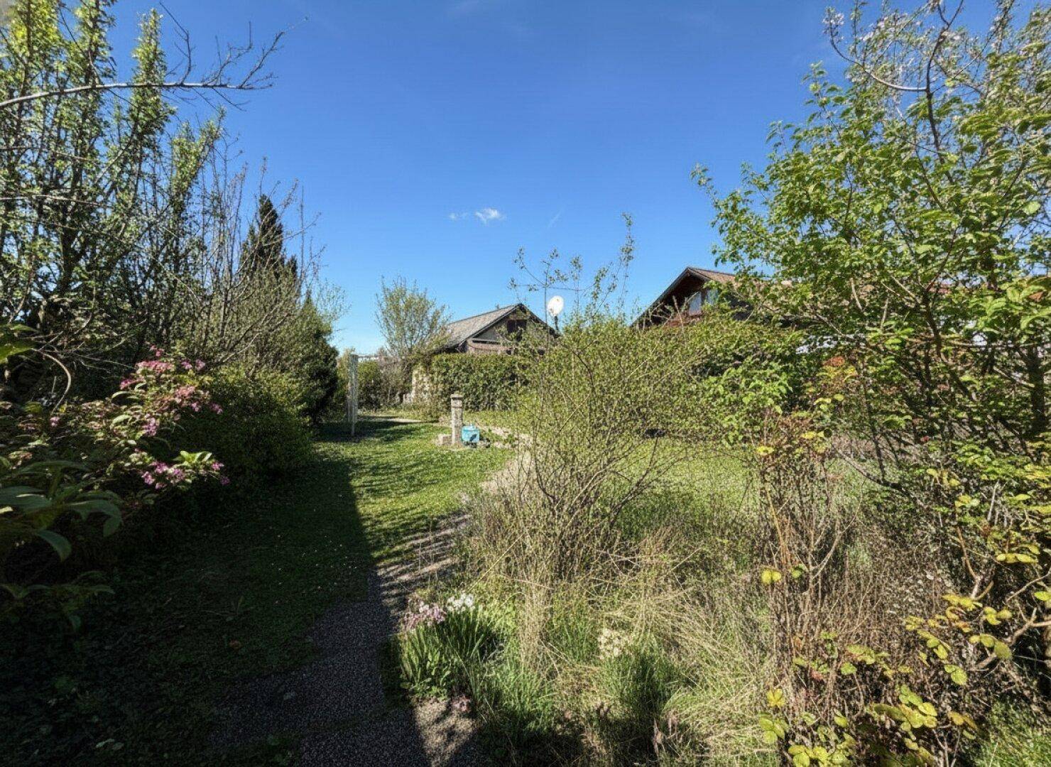 Gartenweg umgeben von dichtem Grün und blühenden Sträuchern an einem sonnigen Tag.