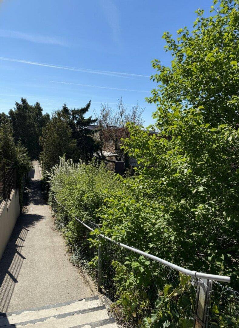 Schmaler Weg entlang eines Zauns, umgeben von üppigem Grün und Bäumen.