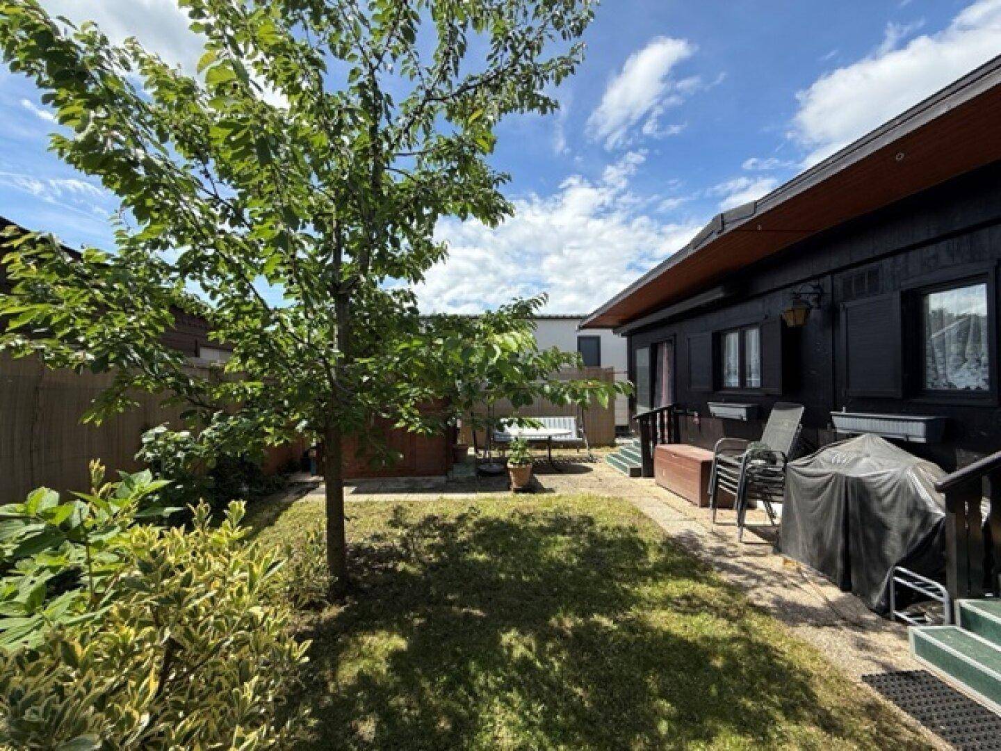 Sonniger Gartenbereich mit Rasenfläche, Baum und dunklem Holzhaus im Hintergrund.