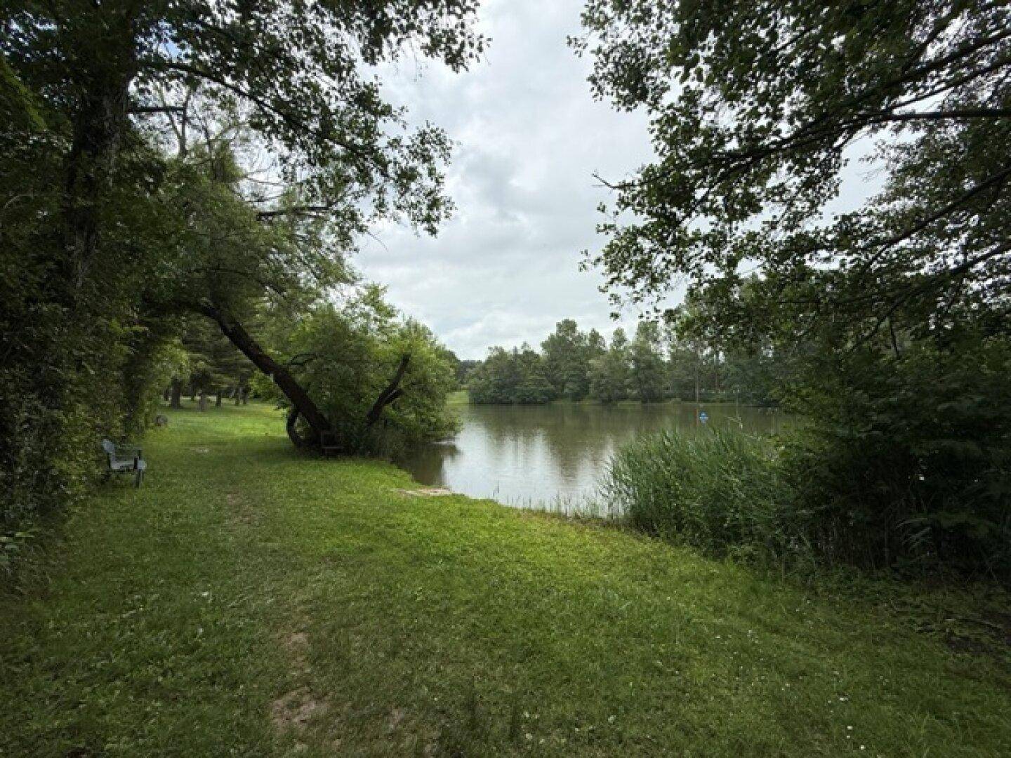 Ruhiger See umgeben von üppiger Vegetation und Bäumen unter bewölktem Himmel.