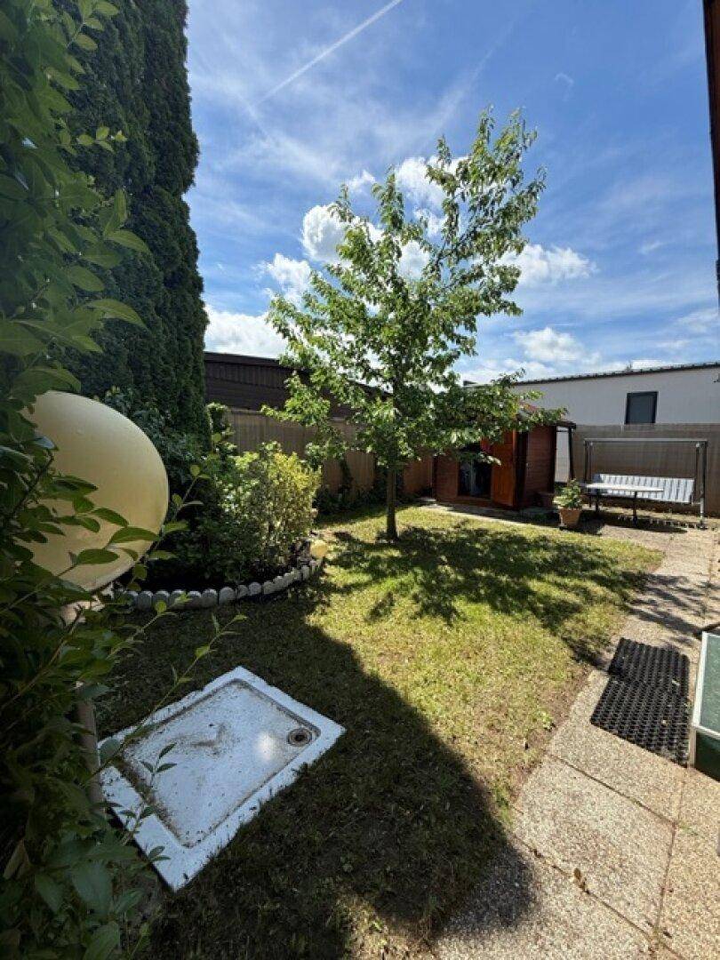 Sonniger Garten mit Rasen, Baum, Gartenhaus und einer Hollywoodschaukel.