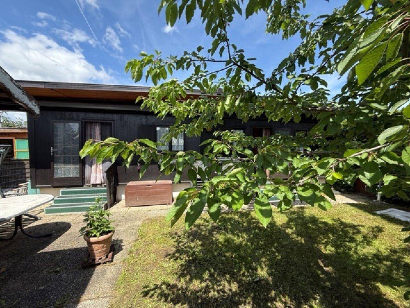 Sonniger Garten mit Rasen, Baum und dem dunklen Holzhaus im Hintergrund.