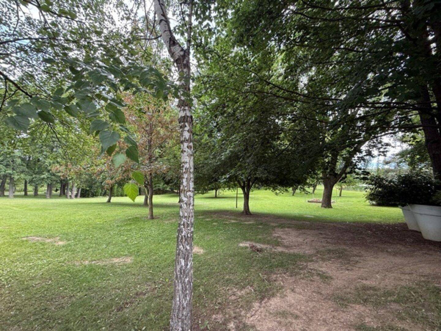 Weitläufiger Gartenbereich mit Rasenflächen und verschiedenen Bäumen, der eine grüne Aussicht bietet.