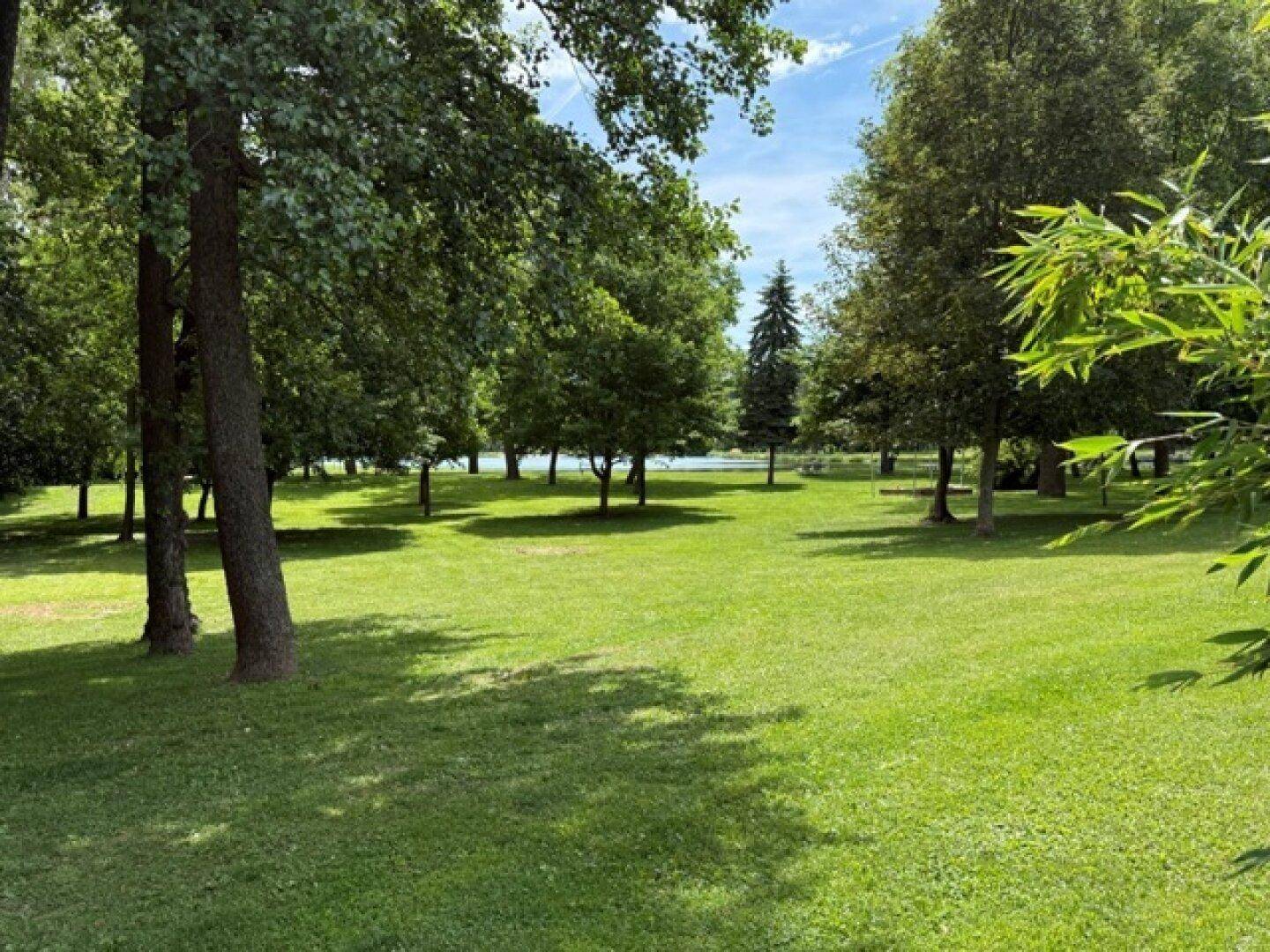 Weitläufige Grünfläche mit Bäumen und einem See im Hintergrund unter blauem Himmel.