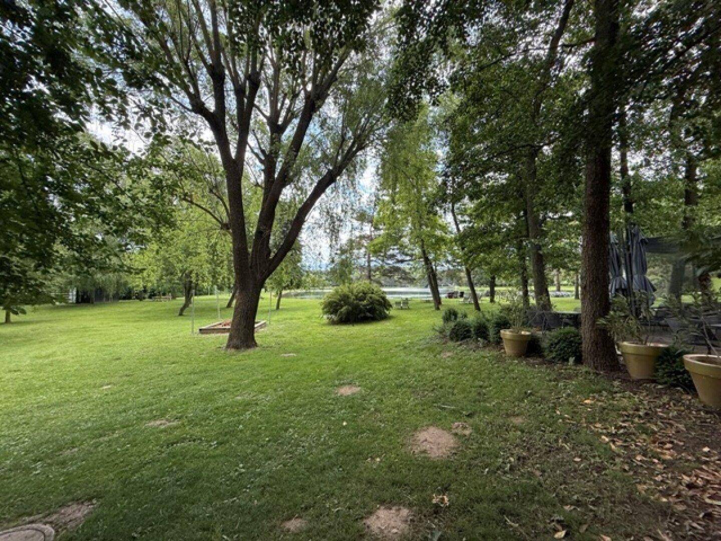 Grüner Garten mit großen Bäumen und einem Teich im Hintergrund, der eine ruhige Atmosphäre schafft.