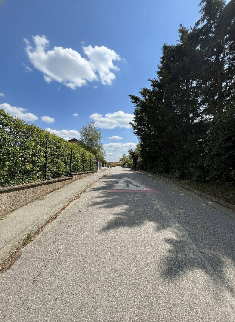 Ruhige Wohnstraße mit hohen Hecken und Bäumen unter einem klaren blauen Himmel.