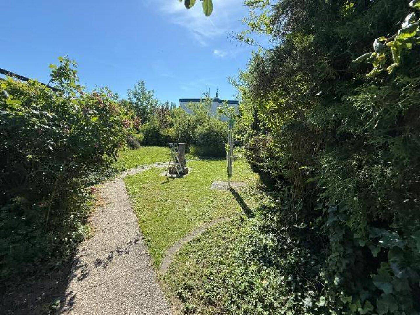 Sonniger Gartenbereich mit einem gepflasterten Weg, umgeben von dichten Hecken und Sträuchern.