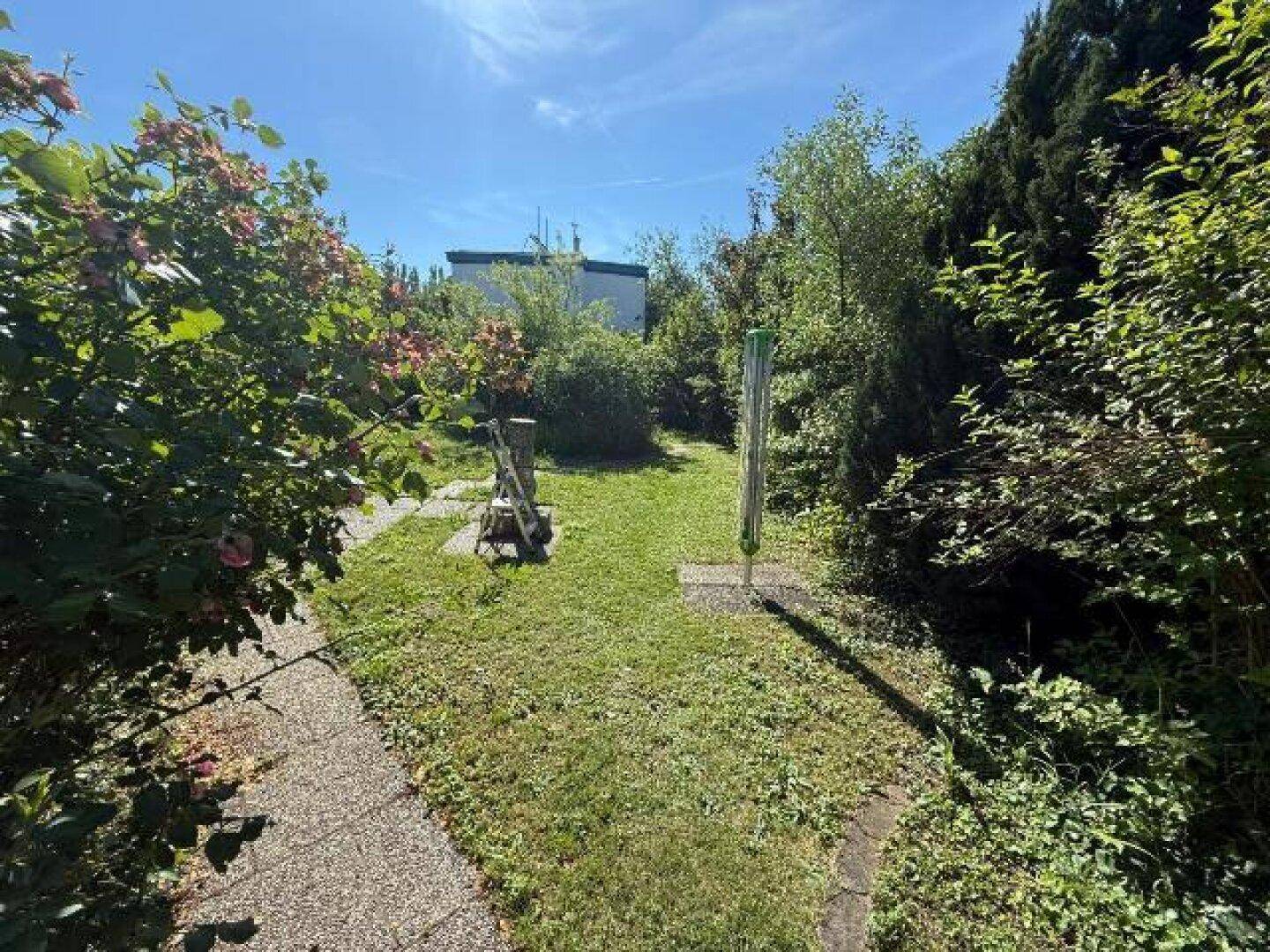 Gartenweg mit Wäscheleine und Leiter, umgeben von üppigem Grün unter hellem Sonnenlicht.