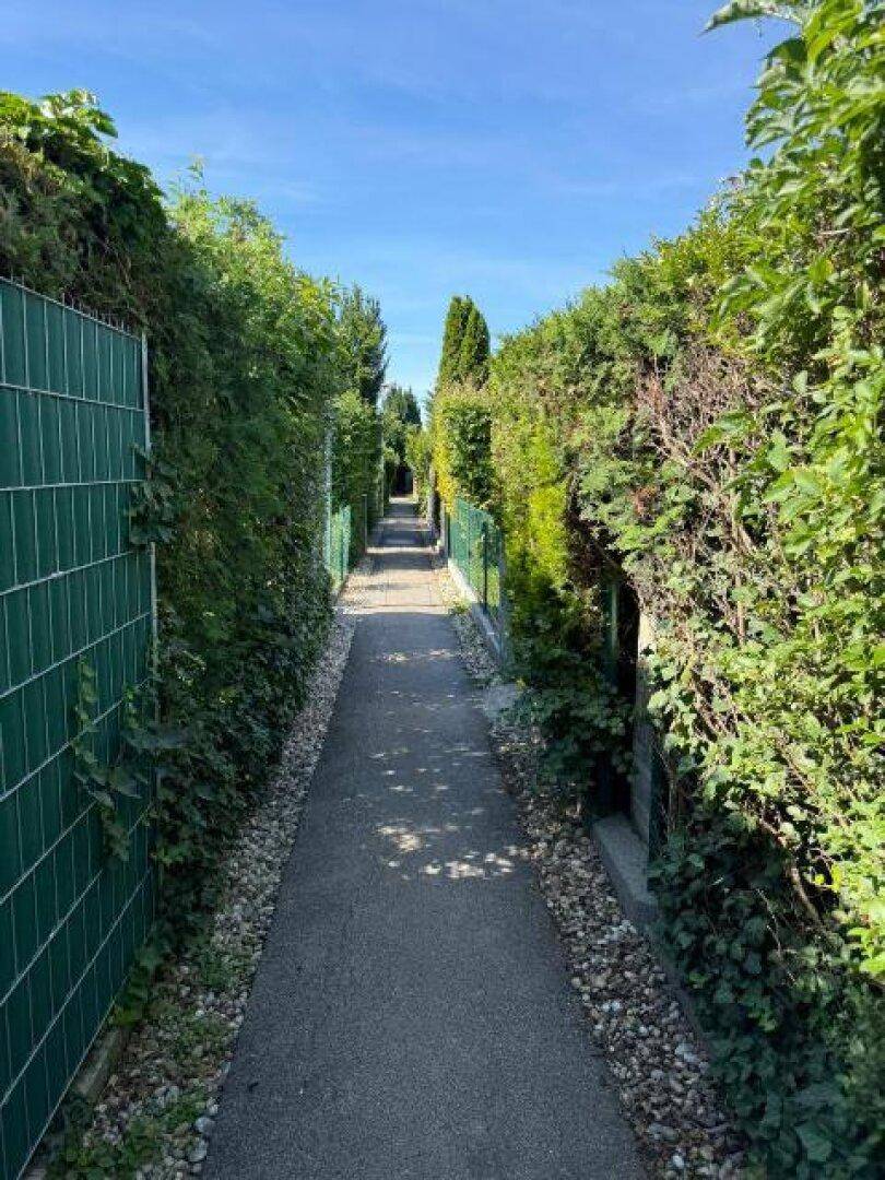 Schmaler, gepflasterter Weg, gesäumt von hohen, dichten Hecken und grünen Zäunen.