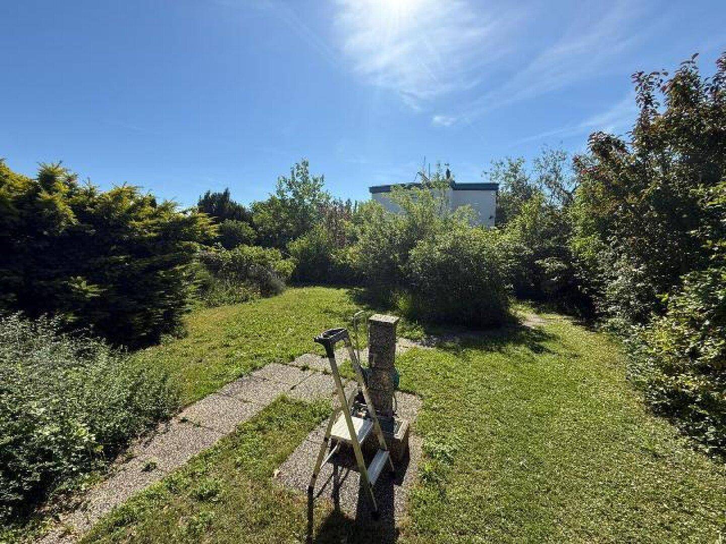 Offener Gartenbereich mit Rasenfläche und einem kleinen Weg, umgeben von vielfältiger Vegetation.