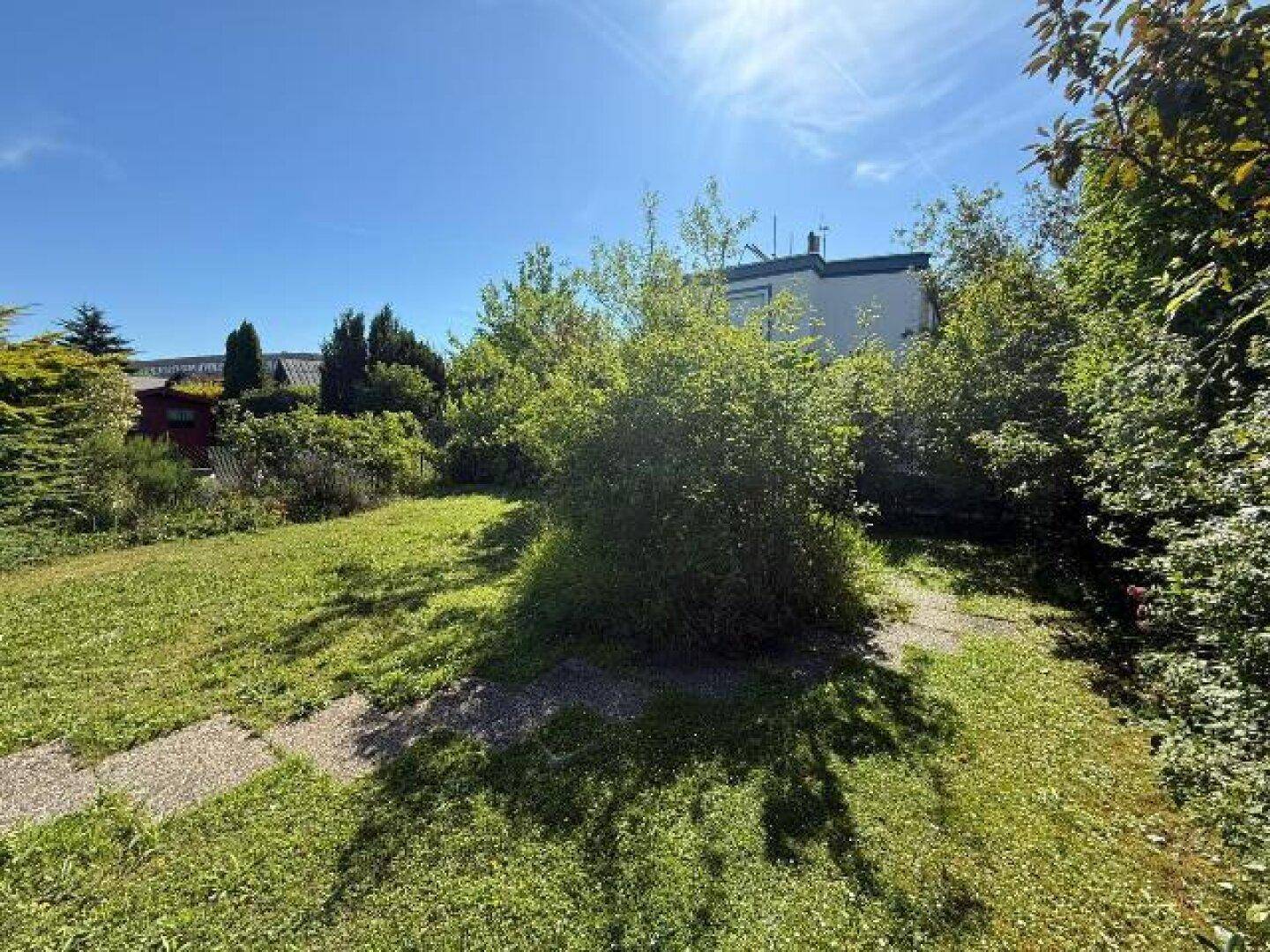 Weitläufiger Garten mit Rasen und Sträuchern, im Hintergrund ist ein Wohnhaus unter blauem Himmel zu sehen.