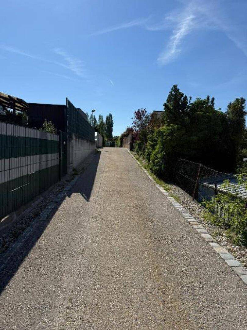 Langer, asphaltierter Weg mit Zäunen und Bäumen auf beiden Seiten unter klarem Himmel.