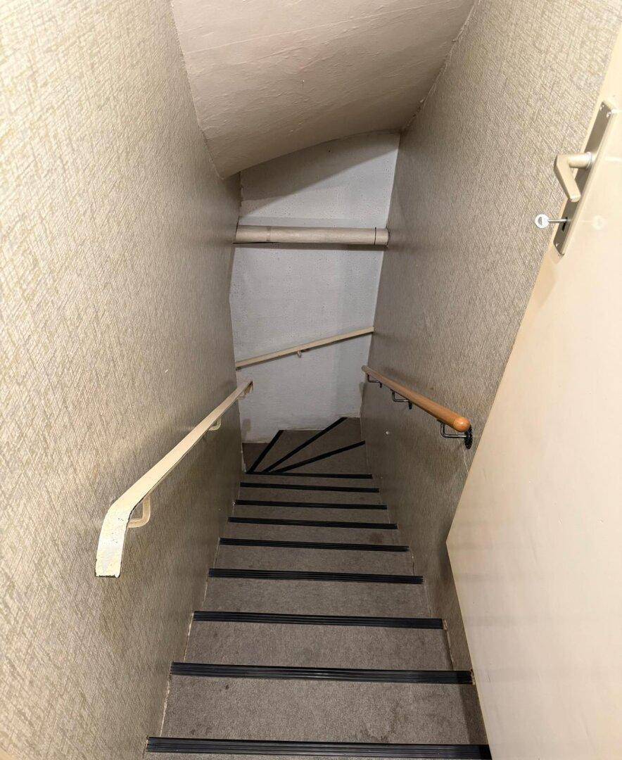 Treppenabgang zum Keller mit Handläufen und gemusterter Tapete.