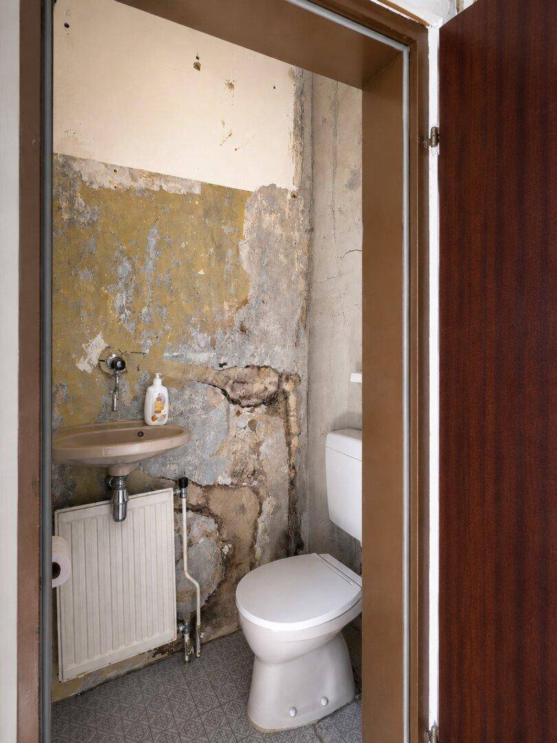 Kleines WC mit Toilette, Waschbecken und Heizkörper, Wände in sanierungsbedürftigem Zustand.