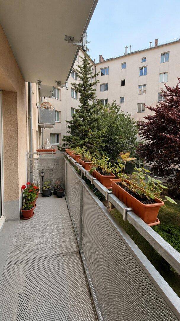 Langer Balkon mit vielen Pflanzen und einem Ausblick auf den begrünten Innenhof.