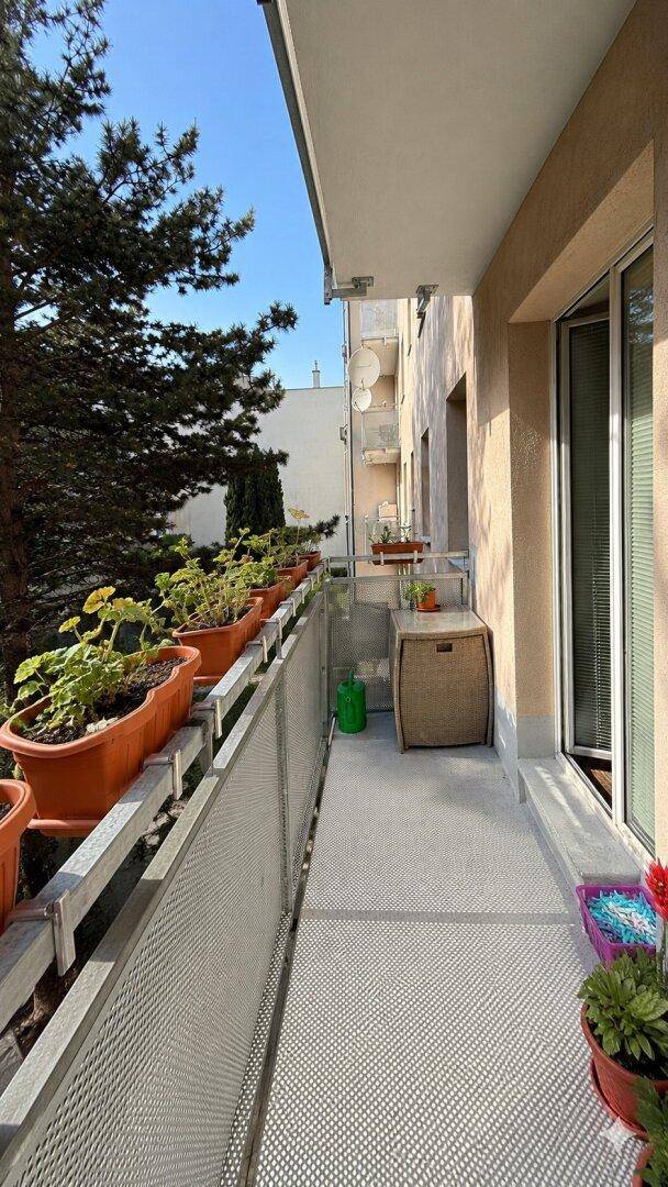 Schmaler Balkon mit Topfpflanzen und Blick auf Bäume und umliegende Gebäude.