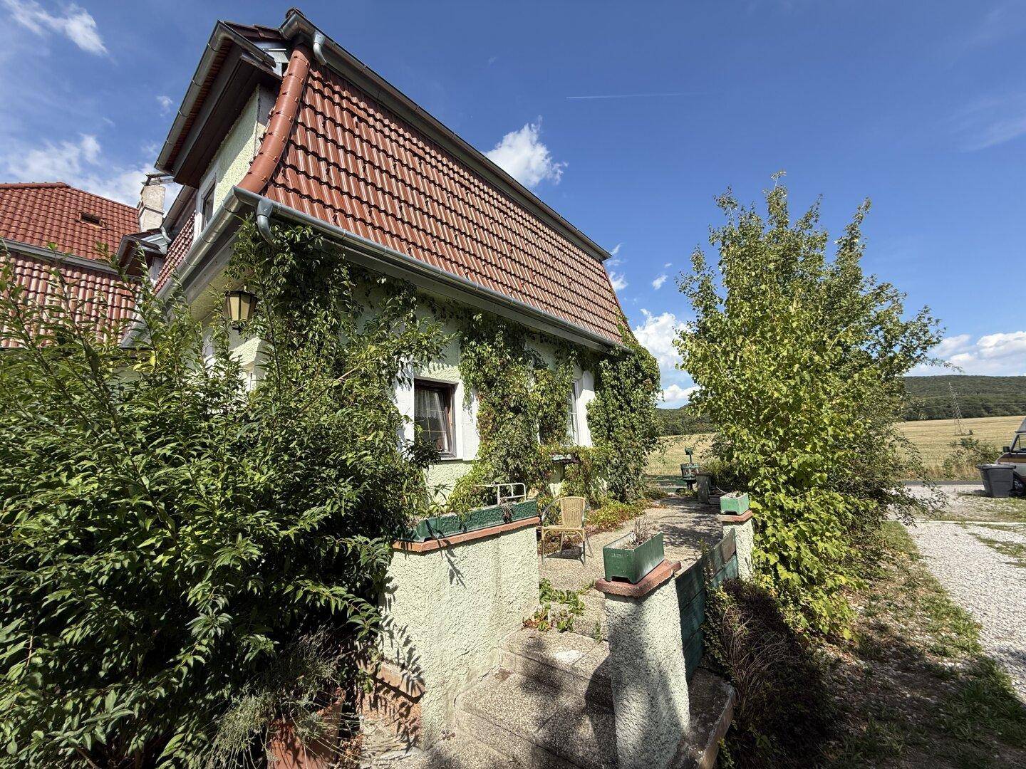 Seitenansicht des Hauses mit bewachsenen Wänden, Mansarddach und einem kleinen Eingangsbereich.