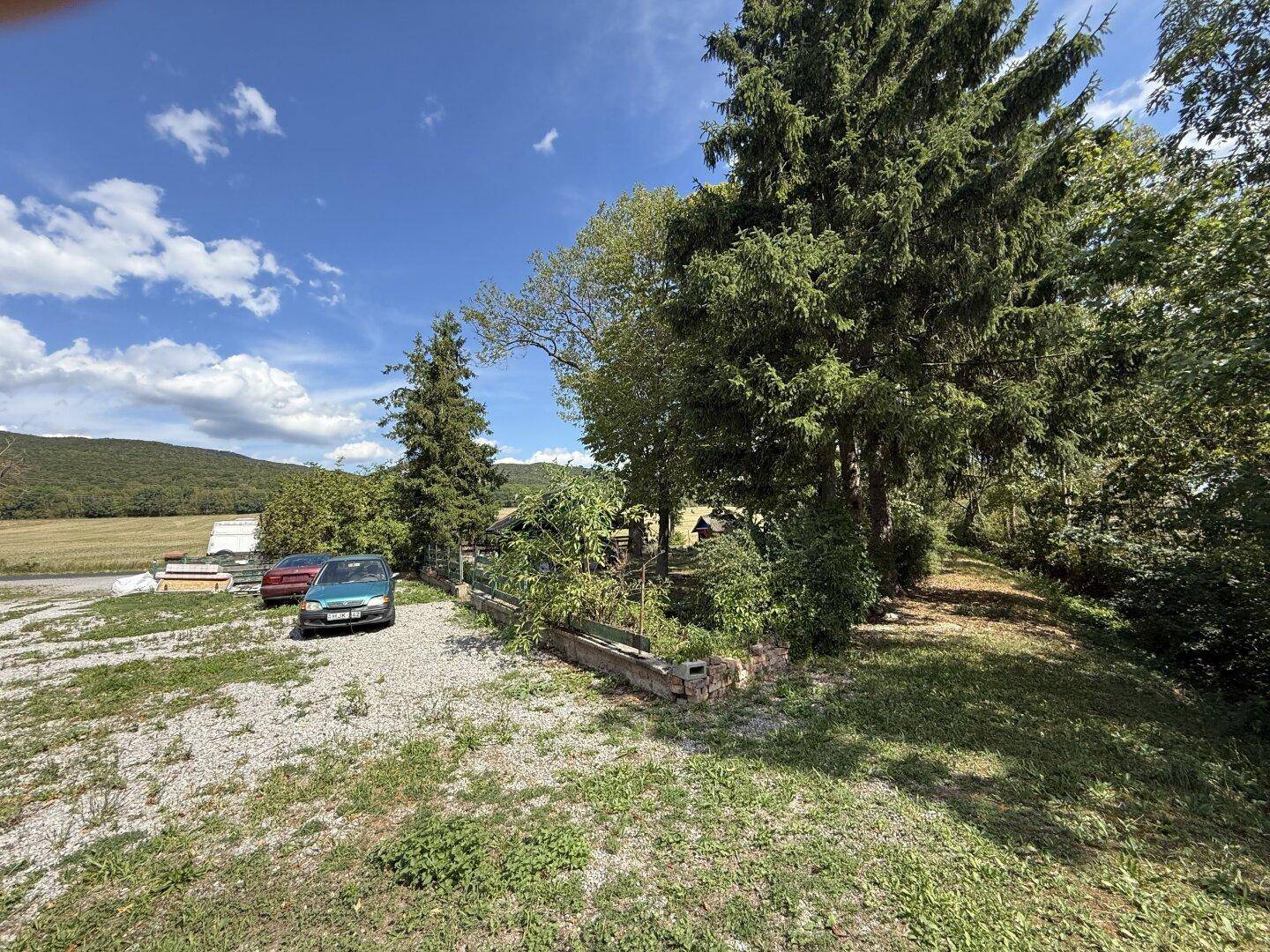 Weitläufiges Grundstück mit geparkten Autos, hohen Bäumen und Blick auf die Landschaft.