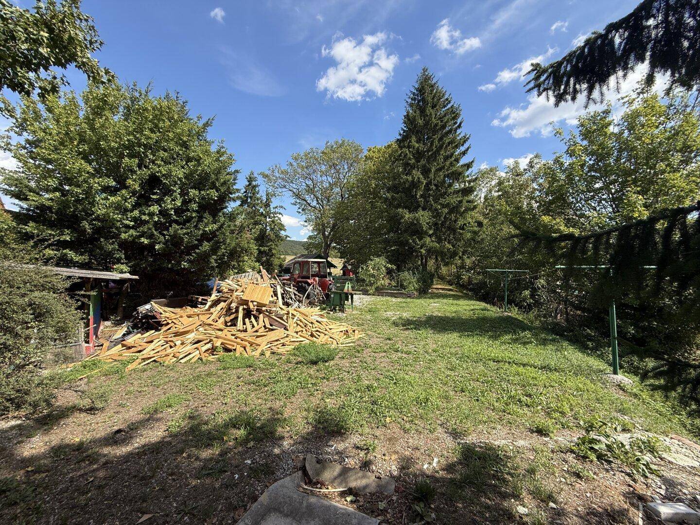 Großer Gartenbereich mit Holzstapeln, Rasenfläche und Bäumen unter blauem Himmel.